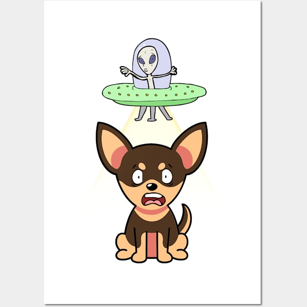 Cute small dog is abducted by aliens Wall Art by Pet Station